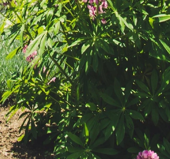 菏泽电商供货，找好点的运营哪家？菏泽电商培训学校帮你解决！