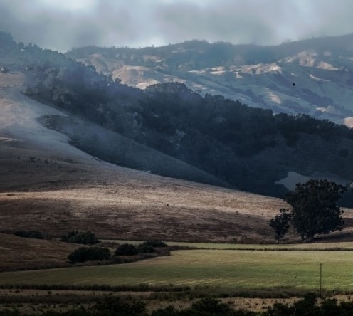 折叠果盘创意摆件