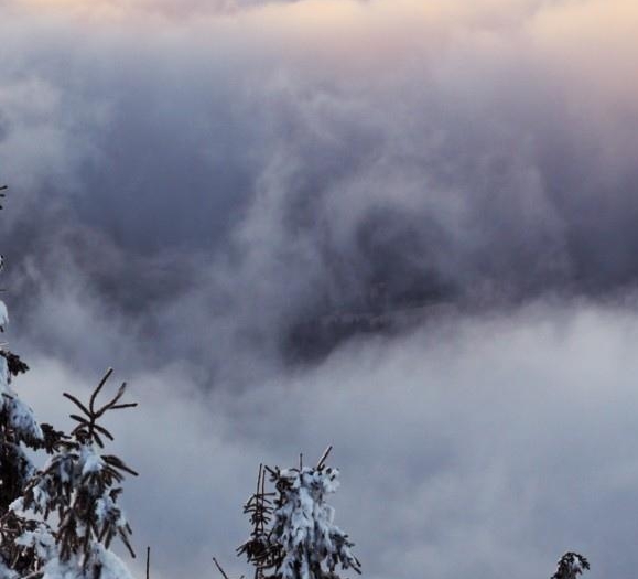 从世界树开始成神