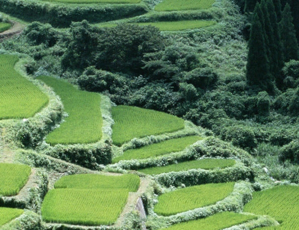 幻想半世界