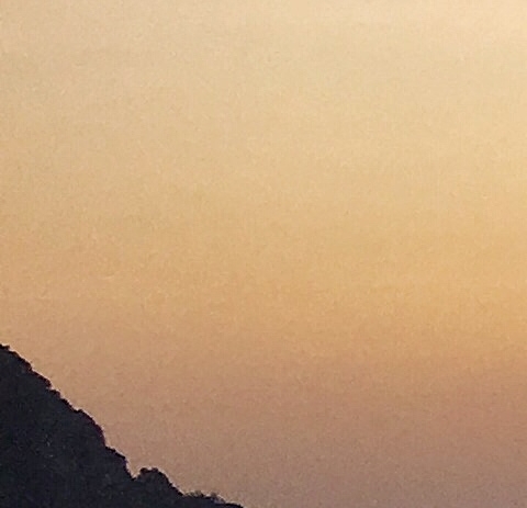 呆兔世界