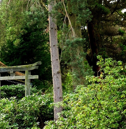 栗精灵创意主题乐园