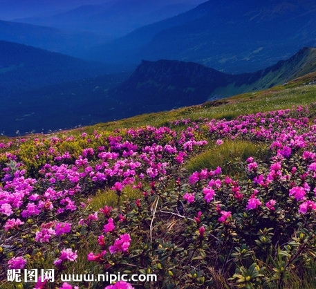 黑科技是什么意思