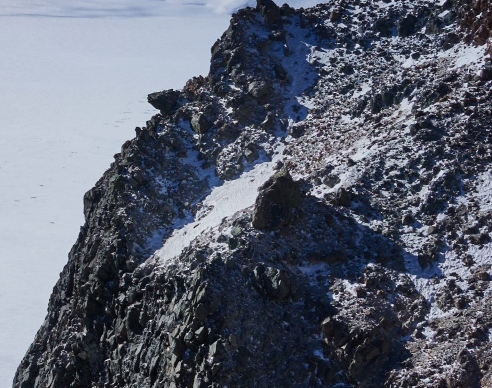 迷你世界59版本