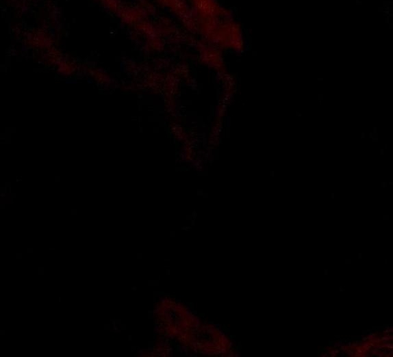 核心训练大锤：抡大锤训练视频