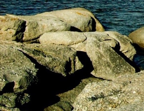 流速世界中，盒子时间流速最快，河流成为世界之冠