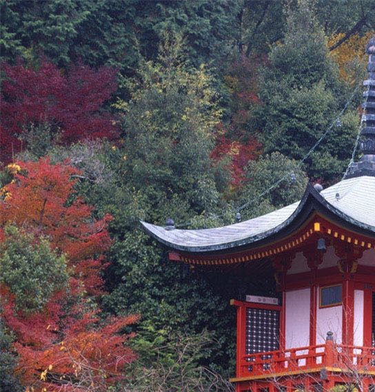 量子世界和现实世界的区别