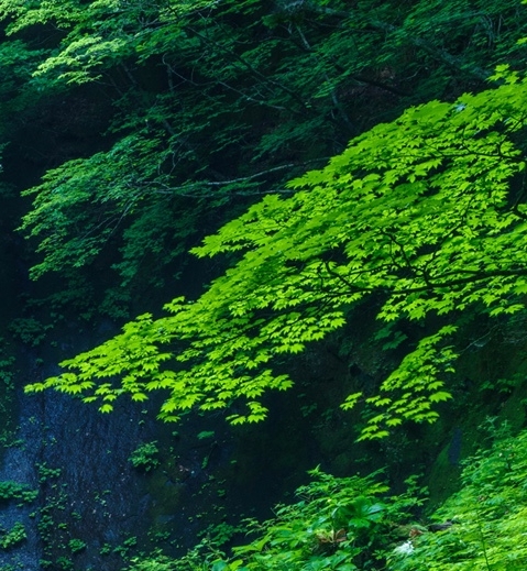 沙拉姐职场