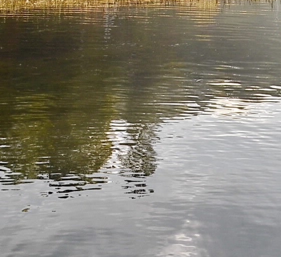 诡秘世界100天1.4