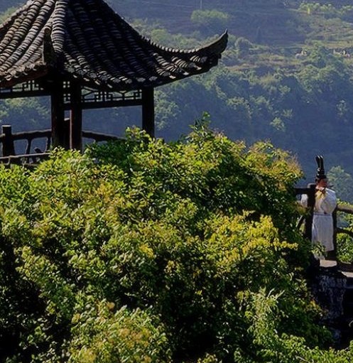 来自新世界草地吻