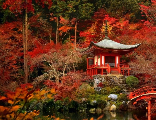 范县电商大厦招聘