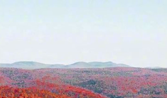 每个世界都要攒口粮