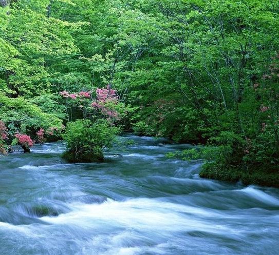 反击者级最好的核心