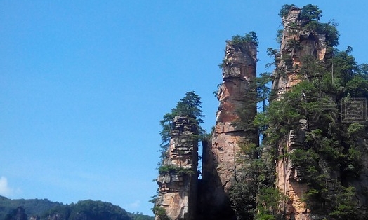 狗头视频背景素材