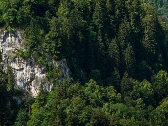 电商5.1活动方案设计