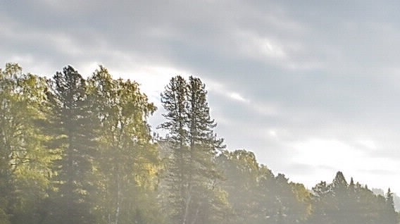 超能世界伏羲的试炼