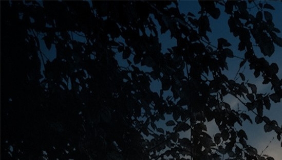 儿童创意蔬菜拓印画