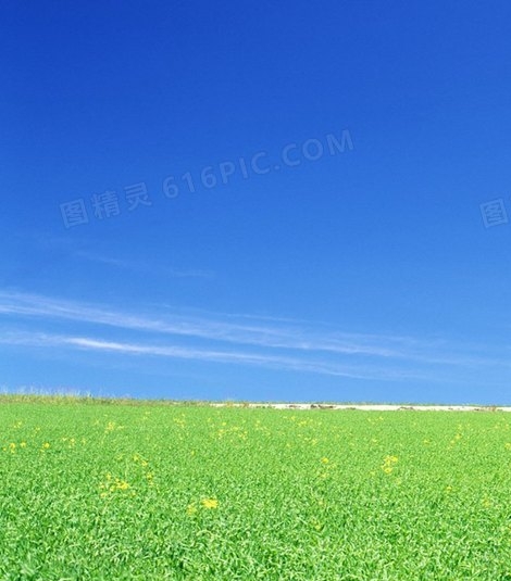 心灵学部怎么进去