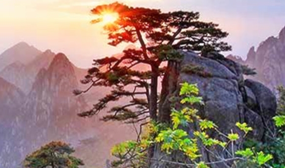 创意书柜图片