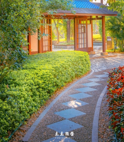 复仇战姬 下载