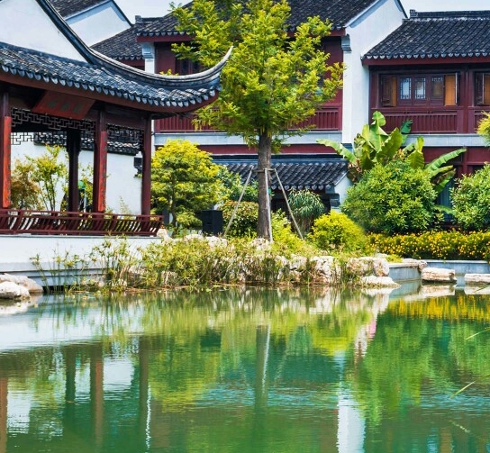 探索扬子的世界：精彩纷呈的扬子迷你世界视频