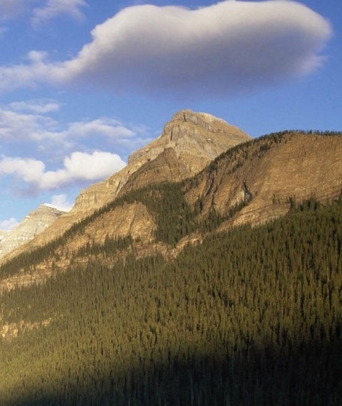 奇特创意小商品