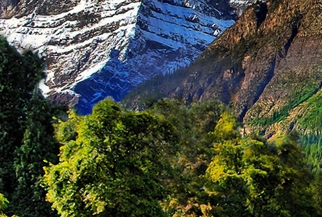 电商掌舵人的不易