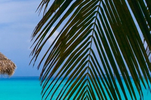 风云之声公众号