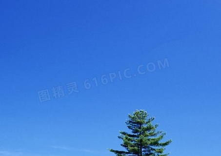 组织核心徽章加成及2kol2组织核心徽章详解
