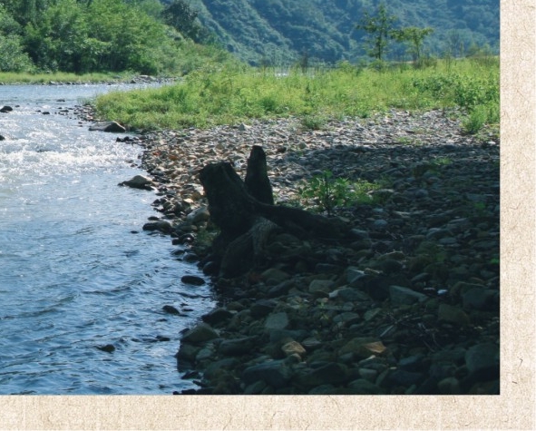 心灵智慧是什么意思