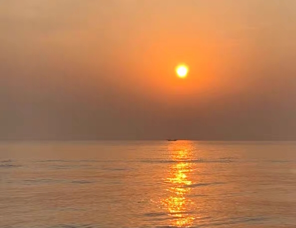 职场心路历程