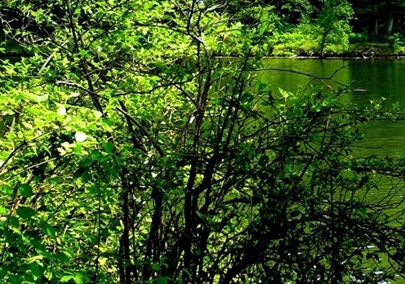 我的世界骇客传奇