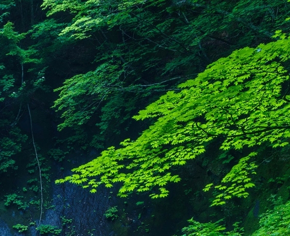 魔塔世界