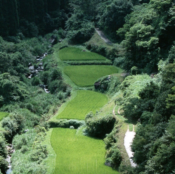 世界尽头的小屋