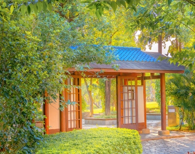 精装心灵美：探讨心灵美的重要性