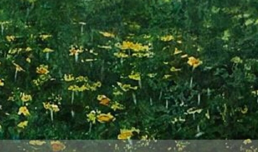 创意插花速写图片：欣赏创意插花图片大全