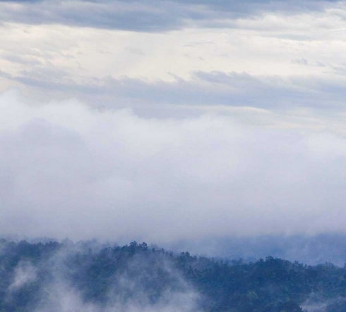 上海迪斯尼酒店价格