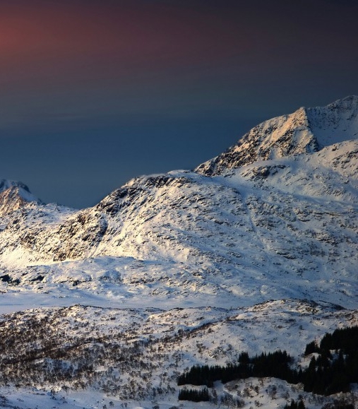 高端运动鞋底材质