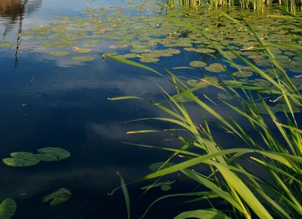隐秘的恋情是什么意思