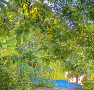 电商直播运营招聘要求