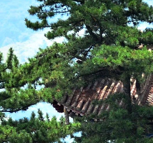 异世界迷宫里