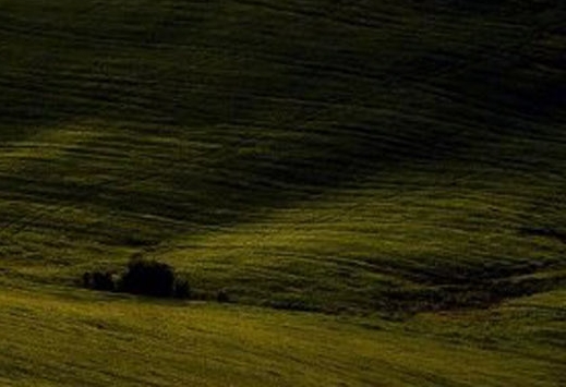 风云武汉 公众号