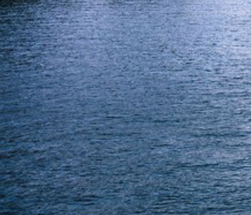 花棉袄布料图片