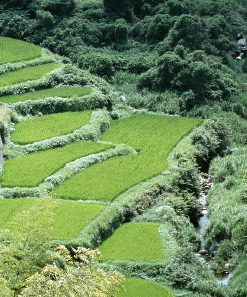 黑龙江广电
