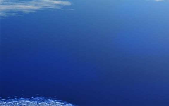 大青鲨是保护动物吗