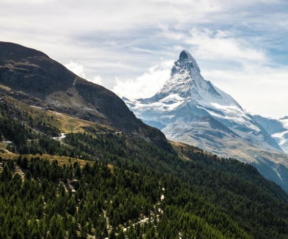 丽水创意森林美发电话