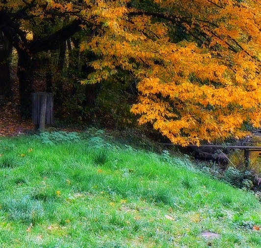 爱护心灵之窗画