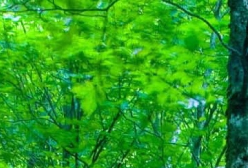 世界毁灭后[重生]