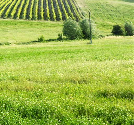 海滩游侠电影完整版免费