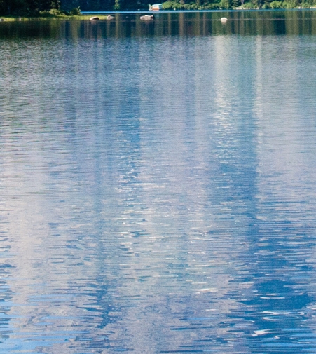 定兴一中科技楼图片